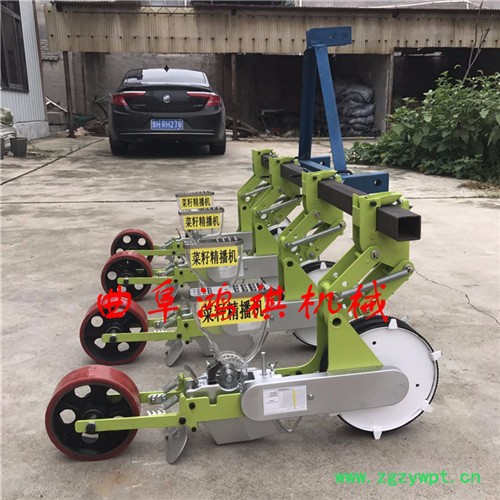 通山县小型蔬菜精播机价格 鸿祺大型花卉药材点播机 小型高粱播种机图3