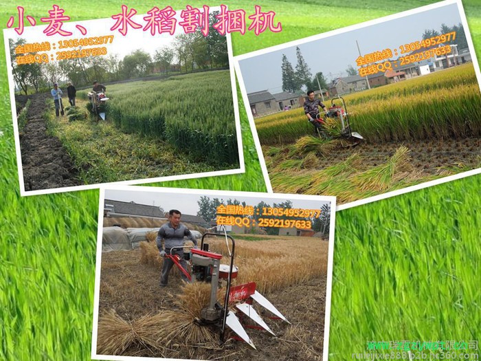 药材收割机割草机厂家价格低廉收割机稻谷收获机图6