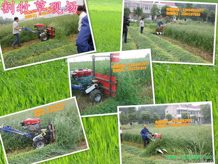 药材收割机割草机厂家价格低廉收割机稻谷收获机图7