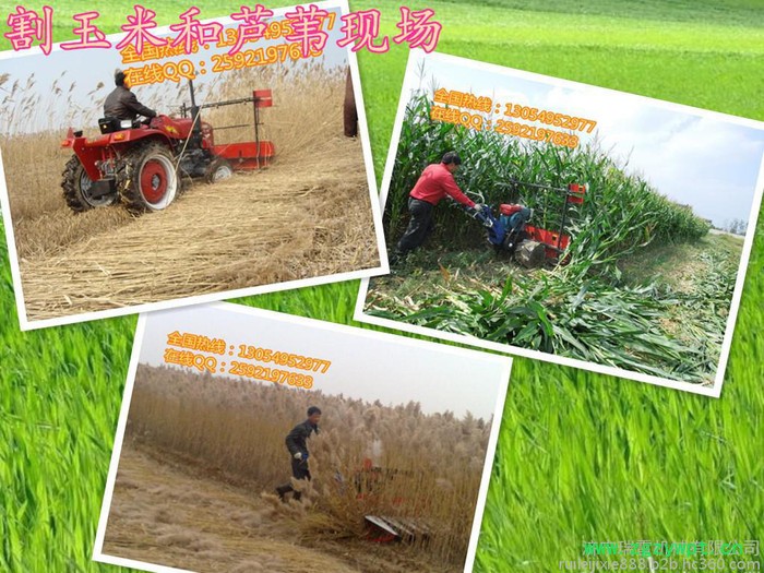 药材收割机割草机厂家价格低廉收割机稻谷收获机图8