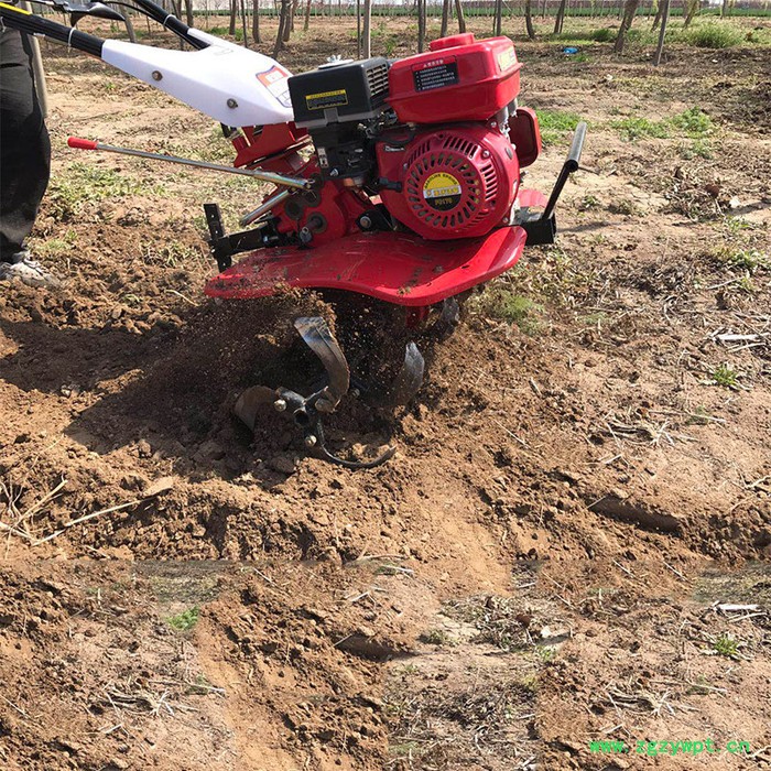 贵州药材种植开沟机 苗圃打地旋耕机图片 启航大葱培土机图4