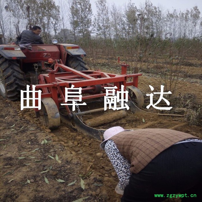 甘肃大黄当归药材收获机中药材挖掘机厂家价格图5