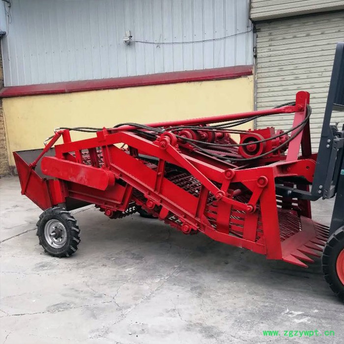 大丰白术挖掘机 知母挖掘机专业生产 挖药机图2