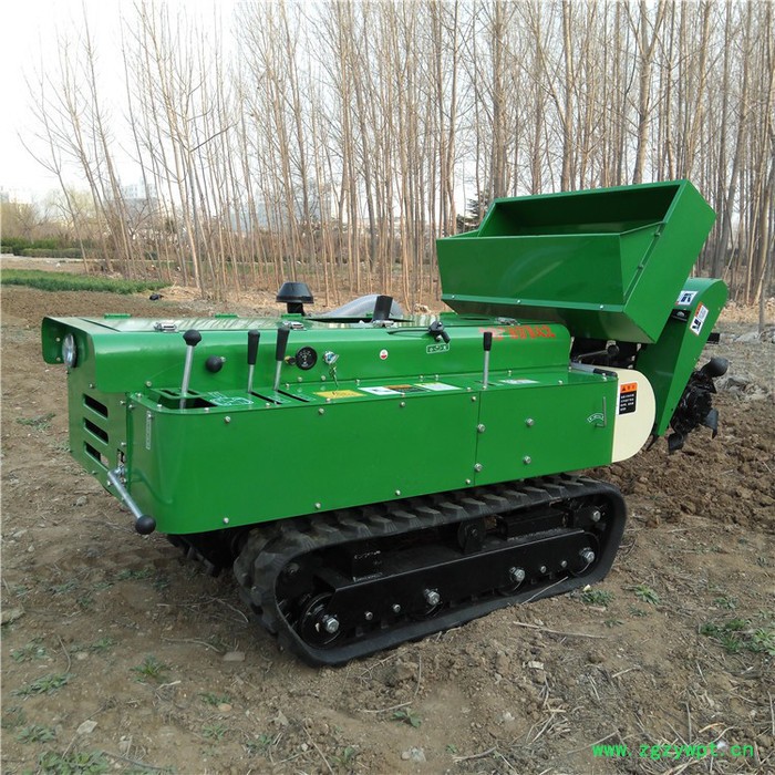 多功能果园大棚耕地机  可进行喷药喷淋等作业的自走式 果园施肥开沟机厂家图4