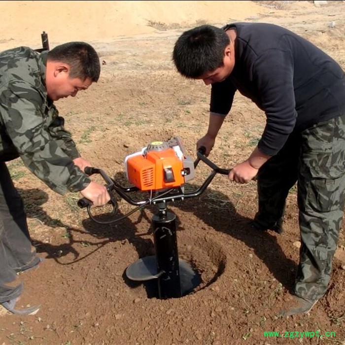 山药打坑机价格 打眼挖坑机 立柱挖坑机价格图3