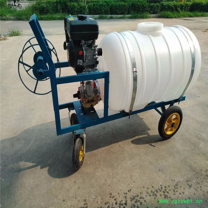 园林喷雾器打药机 多功能施肥机喷干粉机 高压汽油动力喷雾器图8