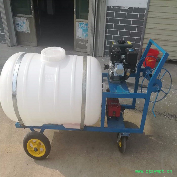 园林喷雾器打药机 多功能施肥机喷干粉机 高压汽油动力喷雾器图7