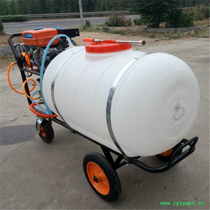园林喷雾器打药机 多功能施肥机喷干粉机 高压汽油动力喷雾器图6