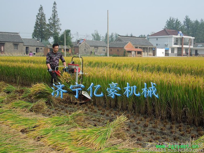 当涂县药材割晒机 亿豪多功能小型大马力割晒机 农用收割机节能高效两行小型玉米收获机图4