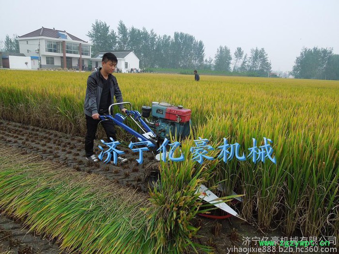 当涂县药材割晒机 亿豪多功能小型大马力割晒机 农用收割机节能高效两行小型玉米收获机图5