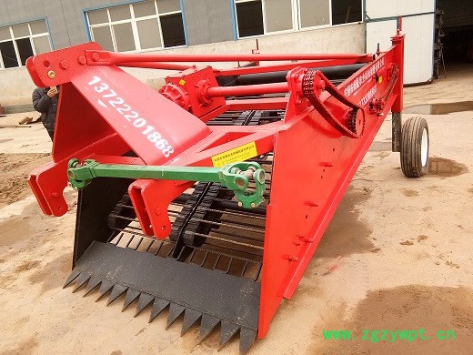 经济实用不伤根茎不漏药链条式辣根黄芩根茎作物药材收获机图2