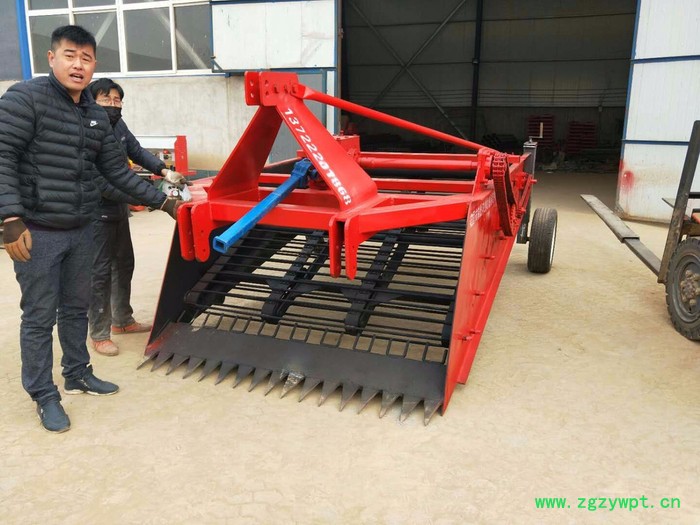 经济实用不伤根茎不漏药链条式辣根黄芩根茎作物药材收获机图5