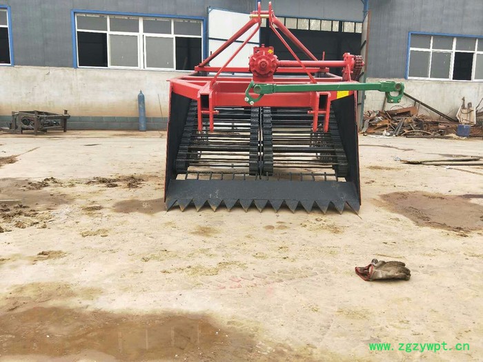 经济实用不伤根茎不漏药链条式辣根黄芩根茎作物药材收获机图7