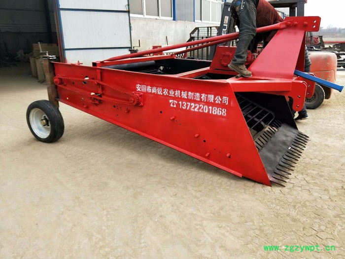 经济实用不伤根茎不漏药链条式辣根黄芩根茎作物药材收获机图3