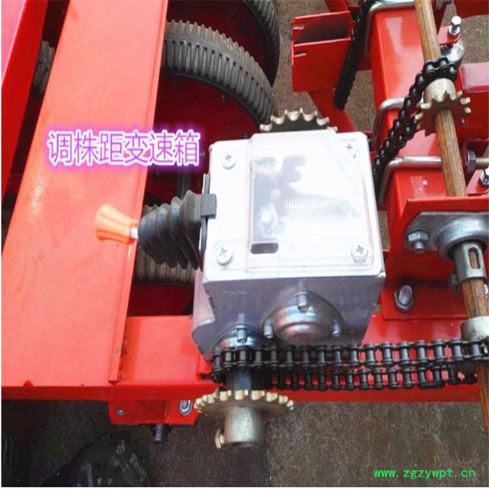 谷子播种施肥机 花卉药材播种机  四轮拖拉机悬挂免间苗谷子精播机图5