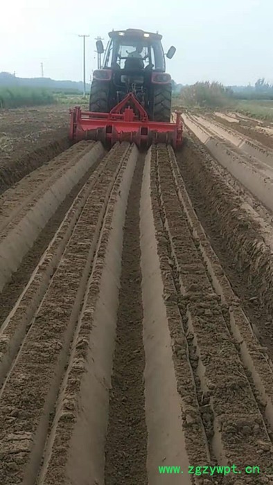 大葱开沟机 红薯起垄机 药材起垄机**图6