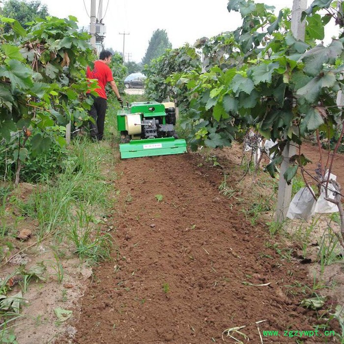 宏博 履带式果园施肥开沟机 可旋耕除草施肥打药机管理机图3