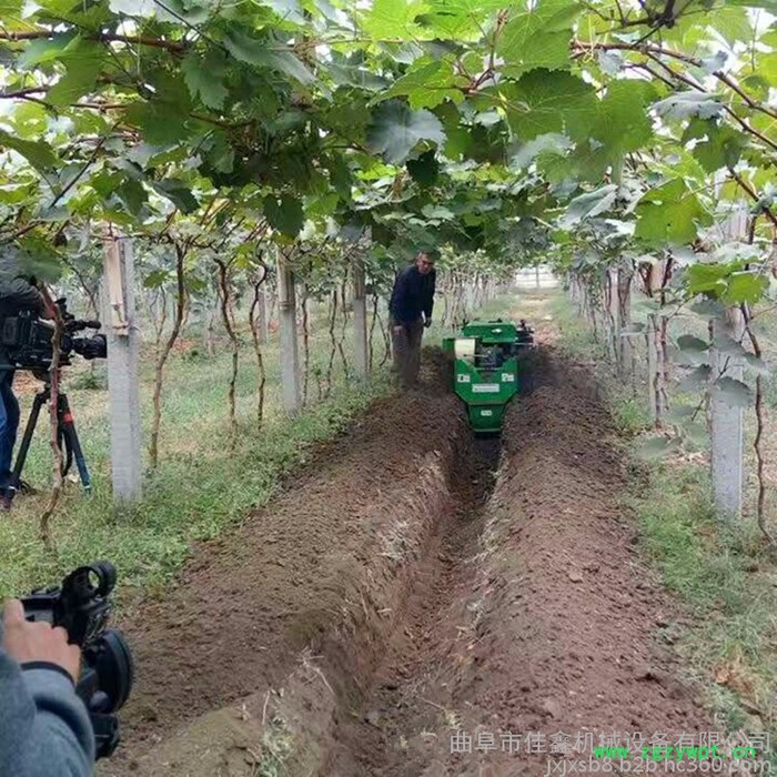 作业速度 300-1200米/小时履带开沟机   柴油耐用还省油果园施肥机  遥控履带式打药机价格图2