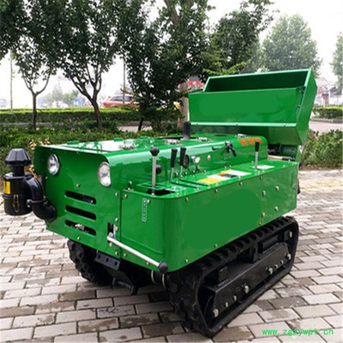 启硕牌遥控履带自走式开沟施肥机 自走式果树施肥打药机 果园旋耕开沟机厂家图5