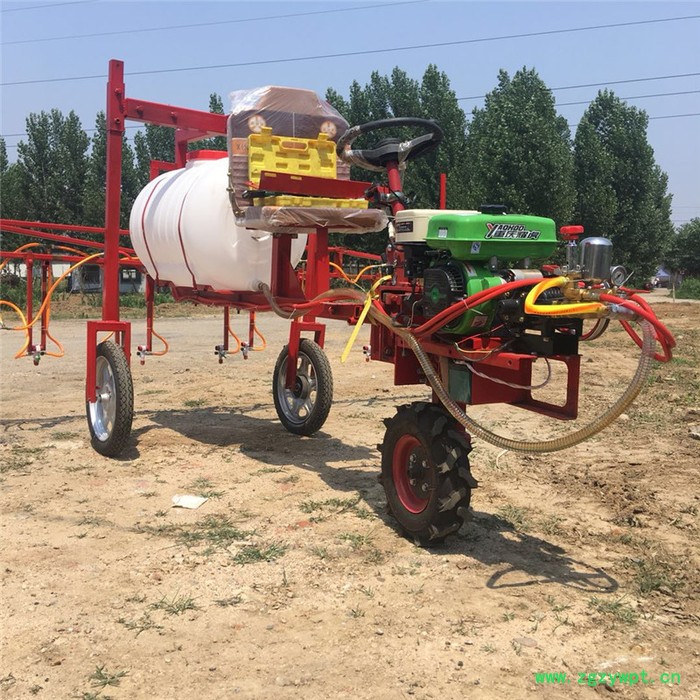 可配备打药功能的履带开沟机 市政消毒喷雾器 河南农户专用打药机富兴图4
