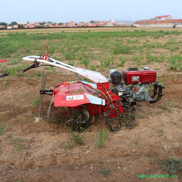 山药耕地机   大型翻地耕整视频操作  翻地耕整机    除草耕地机 背负式耕地机图3