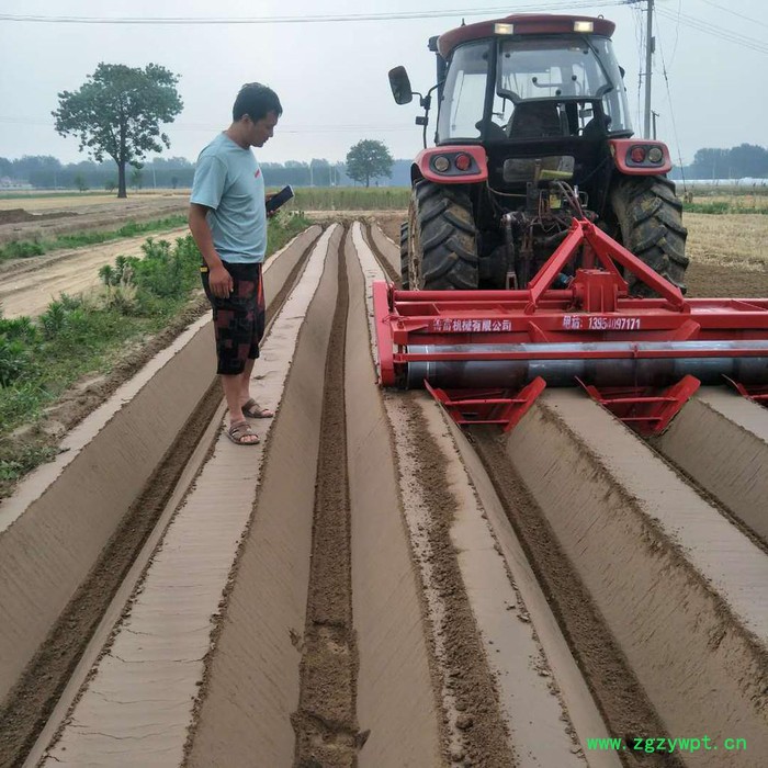 山东菏泽大型山药筑梗机 大葱开沟机 鲜姜开沟机**定做图5