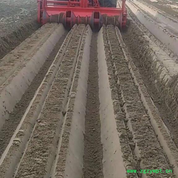 河南洛阳大型药材起垄机 鲜姜开沟机 大葱开沟机**图4