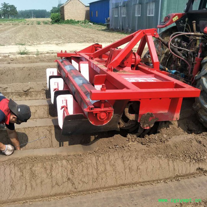 河南洛阳大型药材起垄机 鲜姜开沟机 大葱开沟机**图8