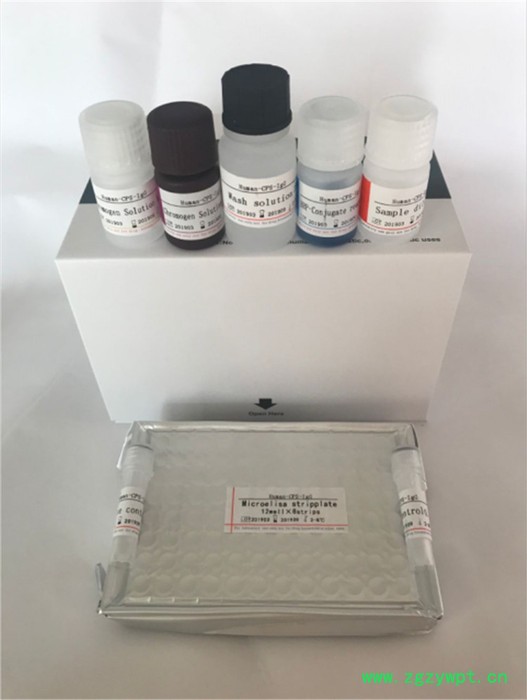 双赢生物 elisa试剂盒 人补体因子D（CFD）elisa试剂盒厂家订做图2