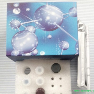 人微量蛋白(mALB)ELISA 试剂盒 齐一生物免费代测现