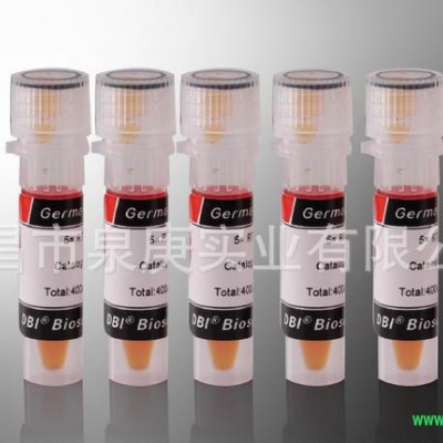 DBI-2055 dNTP  Mixture(2mM) 荧光定量PCR试剂盒原料酶 诊断试剂