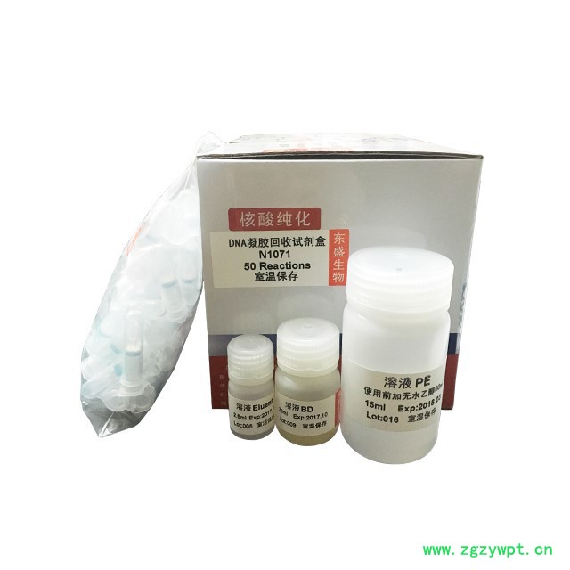 东盛（N1071)DNA凝胶回收试剂盒