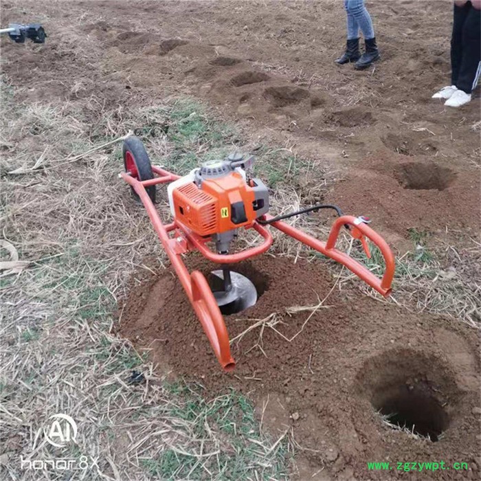 佳鑫机械 双人操作种植钻孔机 小型汽油种树挖坑机 山药植树挖坑机 厂家图3