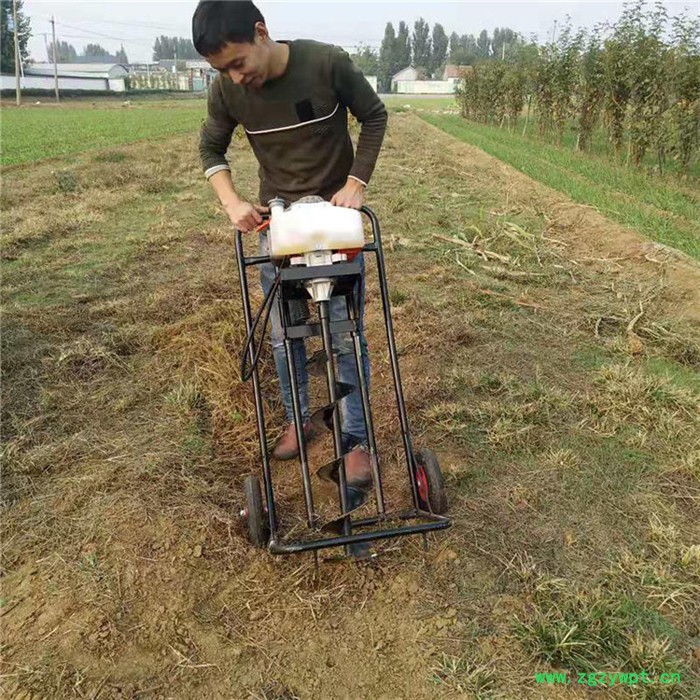 佳鑫机械 双人操作种植钻孔机 小型汽油种树挖坑机 山药植树挖坑机 厂家图5