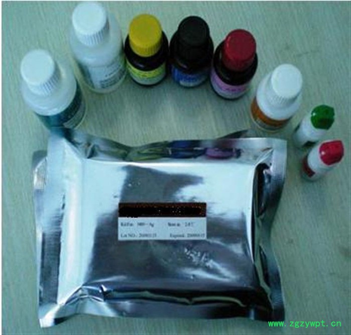 一基教学试剂盒极速PCR试剂盒50人，25组。图5