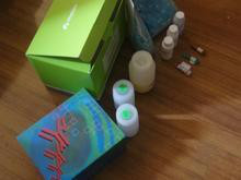 一基教学试剂盒极速PCR试剂盒50人，25组。图3