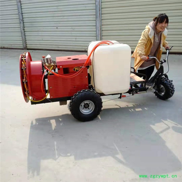 慧聪机械 手推园林打药机 植保打药机厂家 200升汽油挖坑机价格图8