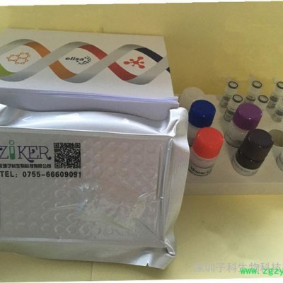 兔肾素（Renin）ELISA试剂盒子科ZIKER，兔子ELISA试剂盒