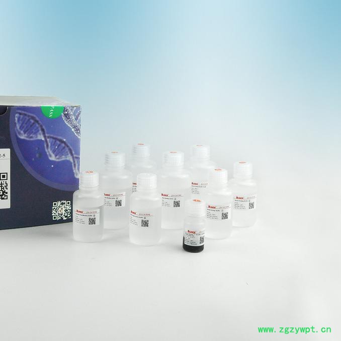 Beaver海狸20102-5 抗体纯化磁珠 抗体纯化试剂盒图3