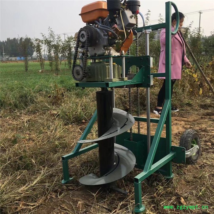 植树挖坑机刨穴机价格 启航药材种植挖坑机 手提式挖坑机图2