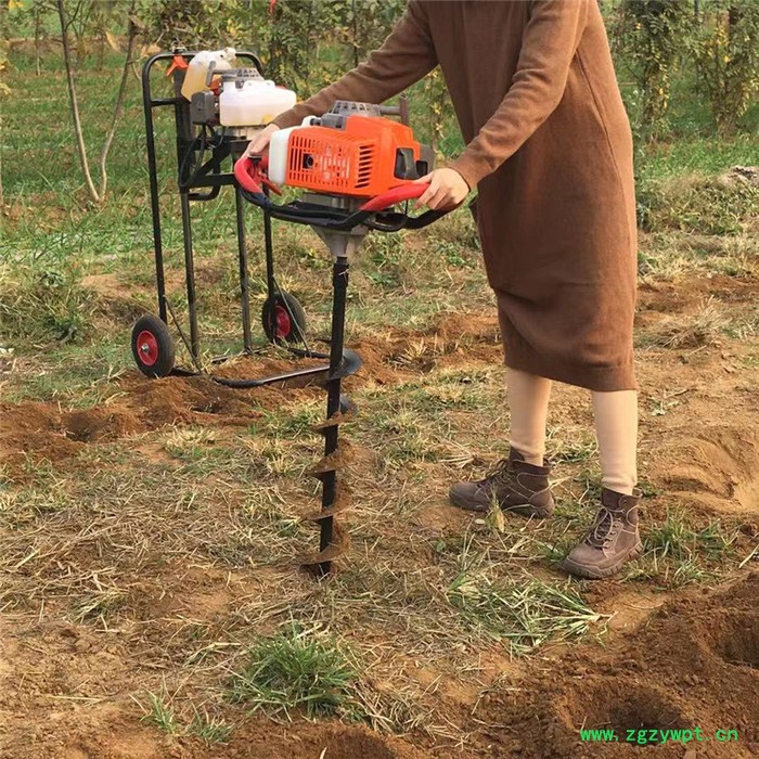 植树挖坑机刨穴机价格 启航药材种植挖坑机 手提式挖坑机图7