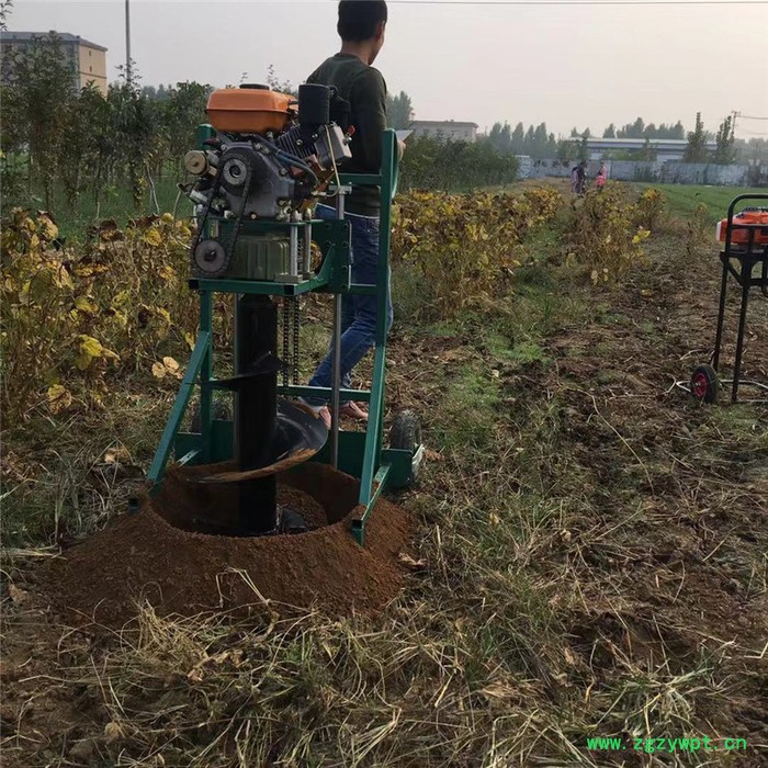 植树挖坑机刨穴机价格 启航药材种植挖坑机 手提式挖坑机图3