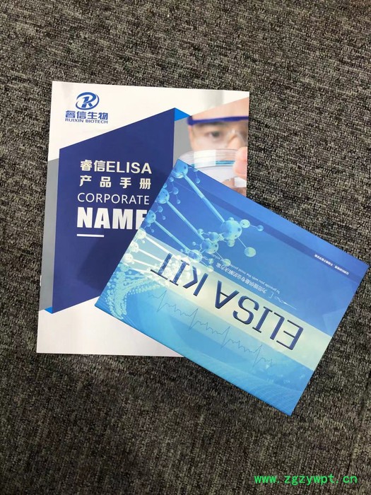 睿信生物 小鼠骨涎蛋白（BSP）ELISA试剂盒价格合理 试剂盒厂家图4