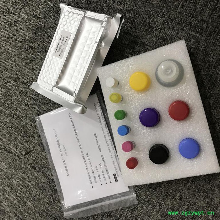 睿信生物 小鼠骨涎蛋白（BSP）ELISA试剂盒价格合理 试剂盒厂家图7