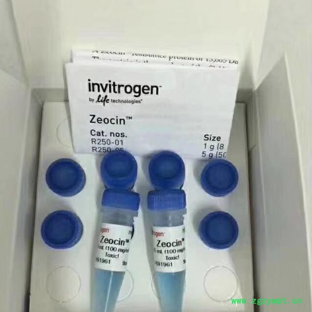 卡米洛 ELISA ELISA试剂盒 生产厂家图2