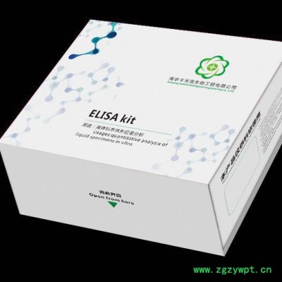 卡米洛 ELISA ELISA试剂盒 生产厂家