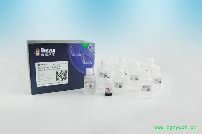 Beaver海狸20202-25 抗体纯化磁珠 抗体纯化试剂盒图3