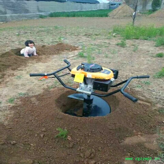 手提式挖坑机 自动打洞机使用视频 农业打药机 苗木种植挖坑机图4