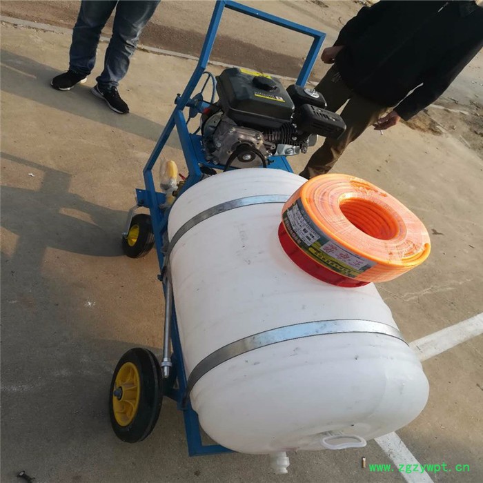 鲁华 光缆电线杆挖坑机钻地机 多功能拉管式喷药机图5