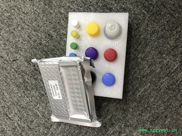 睿信生物 人25羟基维生素D（25-OH-VD）elisa试剂盒